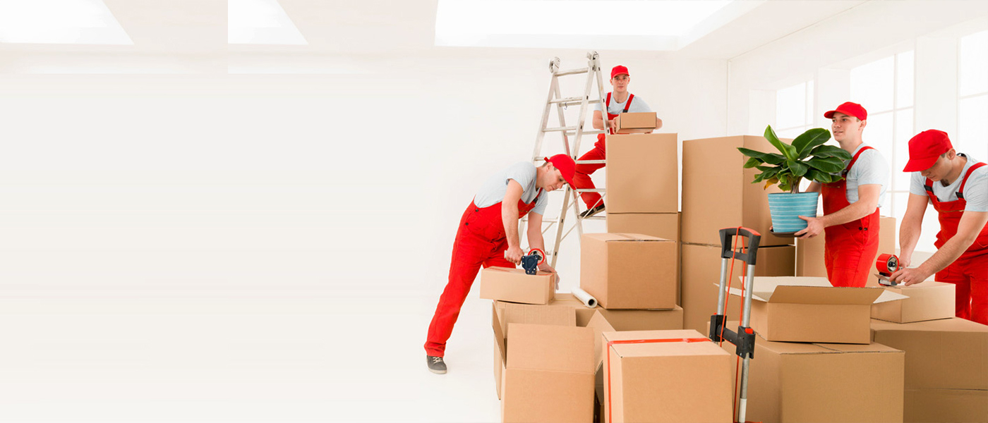 Ordu Evden Eve Nakliyat